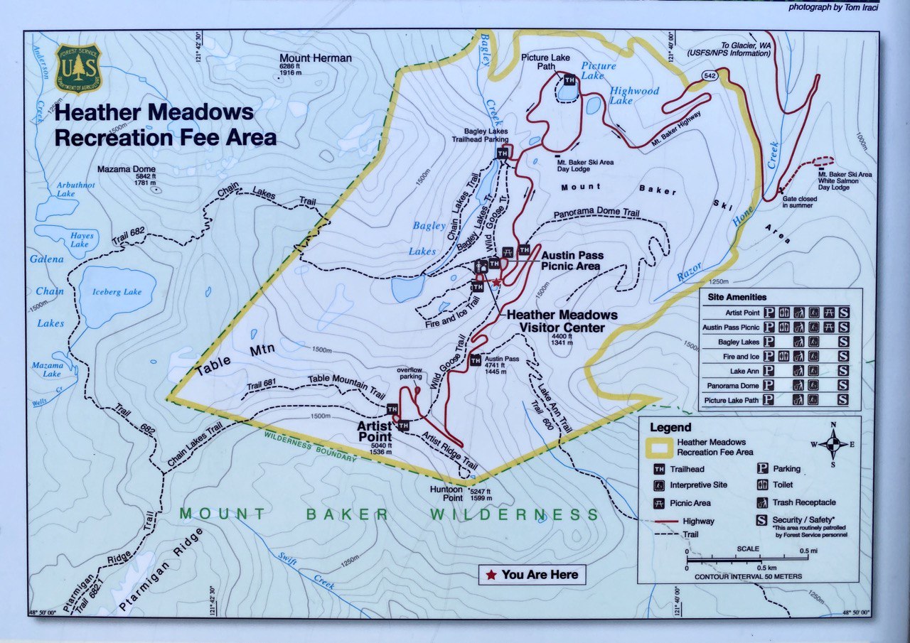 Heather Meadow的冰川火棱 Mt BakerSnoqualmie National Forest 游记 猫和柴的野游