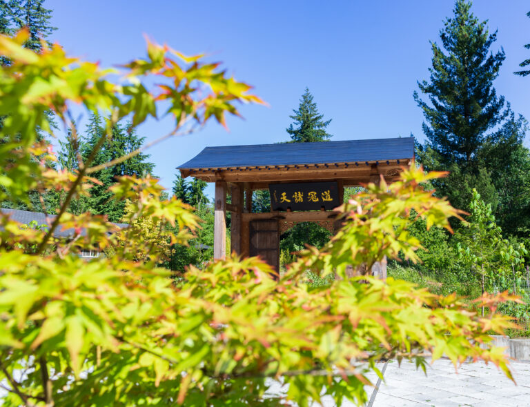 西雅图北廿二湖，青城山下玄修宫 | Lake 22 & Seattle Taoist Studies Institute
